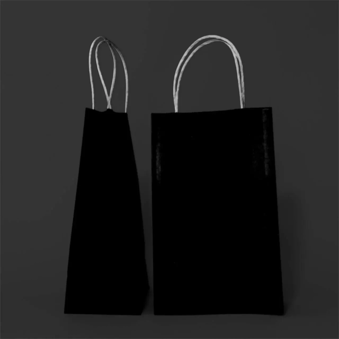 Бумажные пакеты с ручками 260x150x350 мм, 50 шт, черные